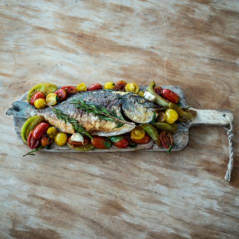 black ginger catering πιάτα τσιπούρα στήσιμο rustique